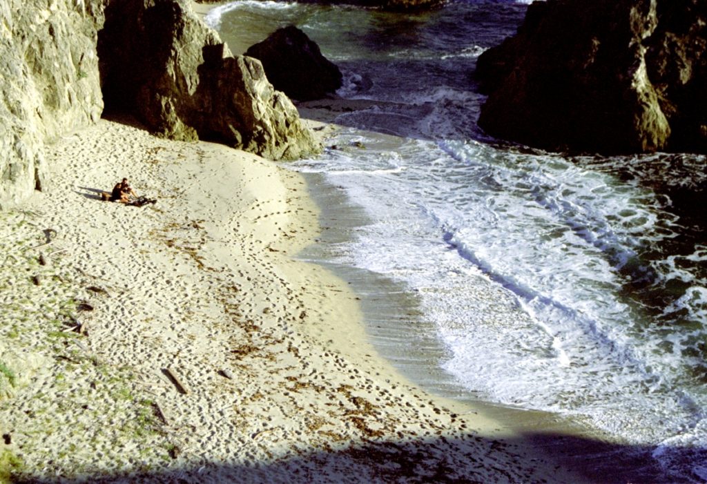 Bodega Head Beach Couple