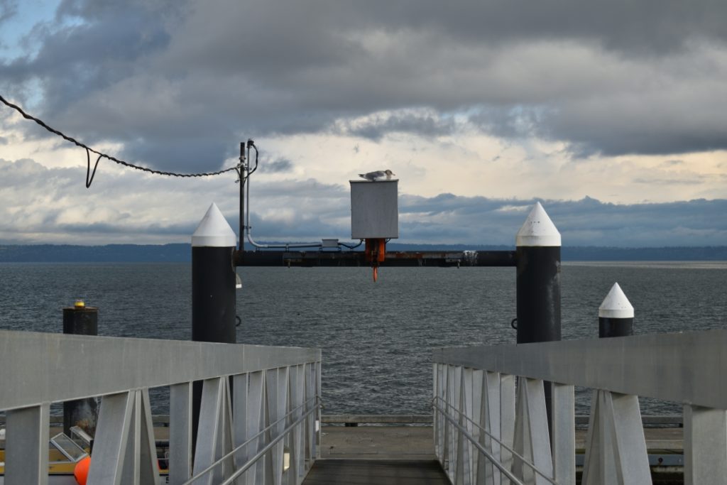 Indianola Pier
