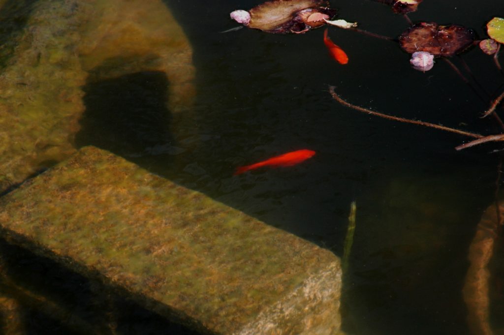 Jack London Fountain