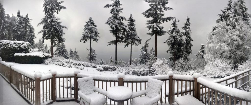 Bainbridge Island Snow 2