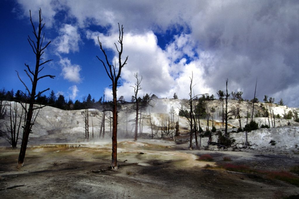 Mammoth Hot Springs #2, Yellowstone NP