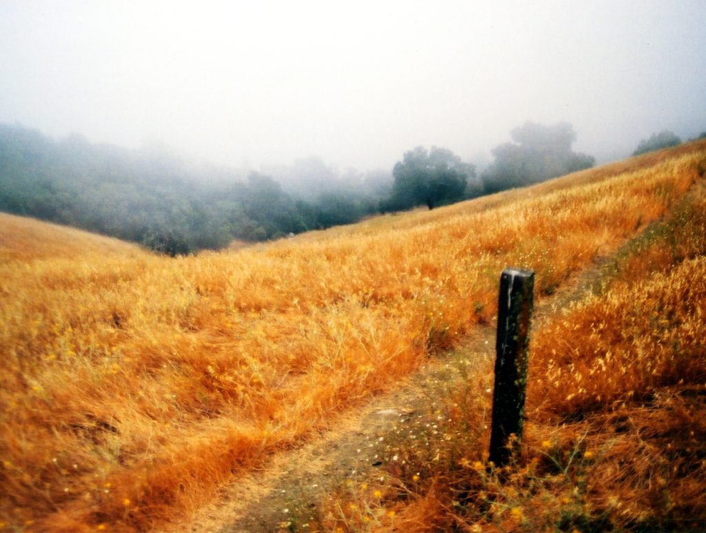 Sugarloaf Ridge