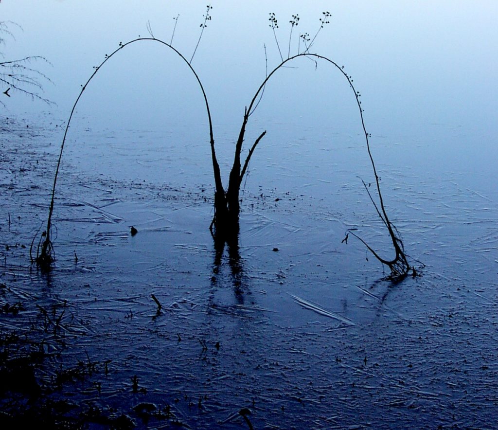 Winter Pond